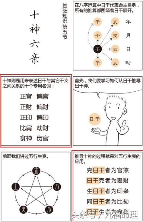 八字六親|命理基礎知識梳理06：十神定位，六親關系、事業財祿。